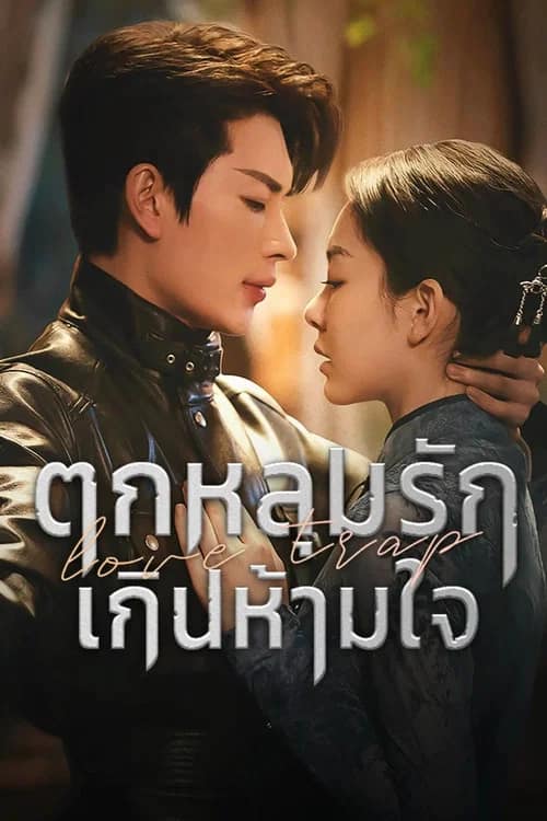 โปสเตอร์ ตกหลุมรักเกินห้ามใจ