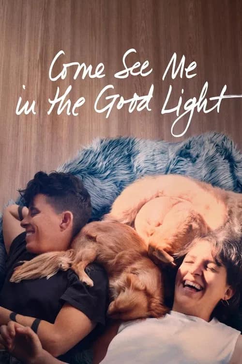 โปสเตอร์ Come See Me in the Good Light